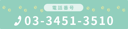 電話番号 03-3451-3510