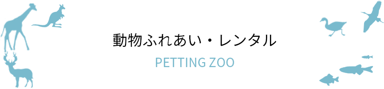 動物ふれあい・レンタル PETTING ZOO