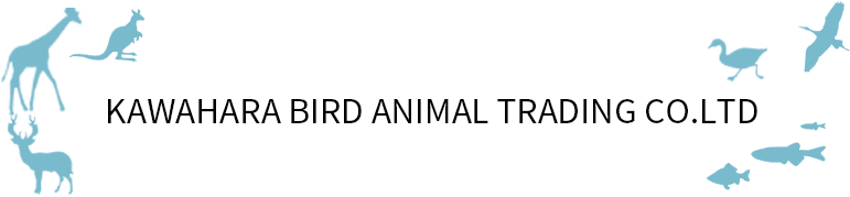 KAWAHARA BIRD ANIMAL TRADING CO.LTD