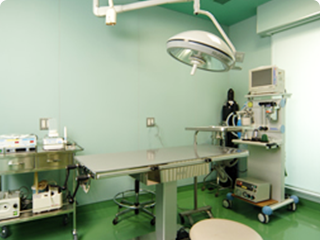 2F／エコー（超音波診断機器）