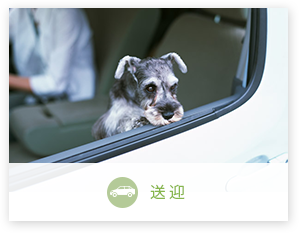 送迎