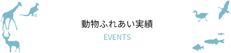 動物ふれあい実績 EVENTS